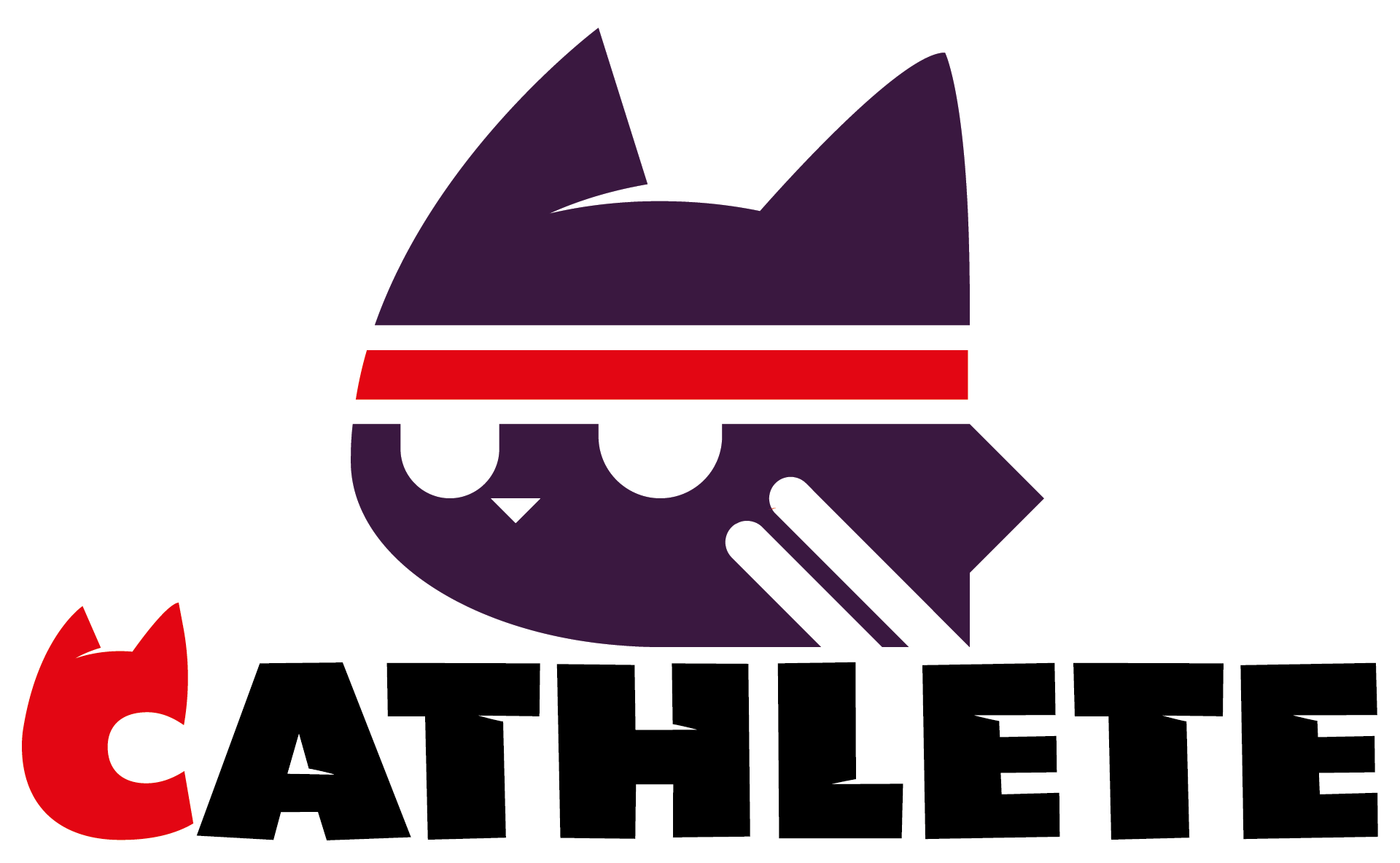 Logo en huisstijl